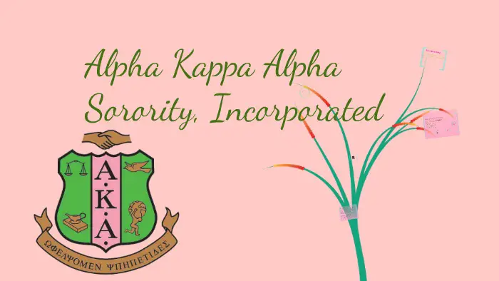 Answers to Alpha Kappa Alpha Sorority Questions
